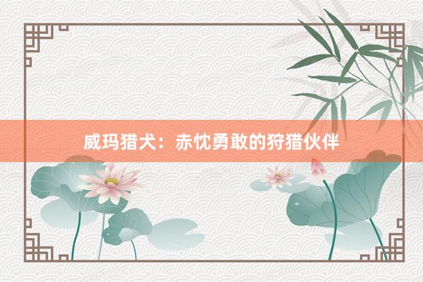 威玛猎犬：赤忱勇敢的狩猎伙伴