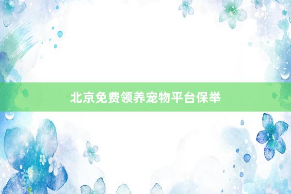北京免费领养宠物平台保举