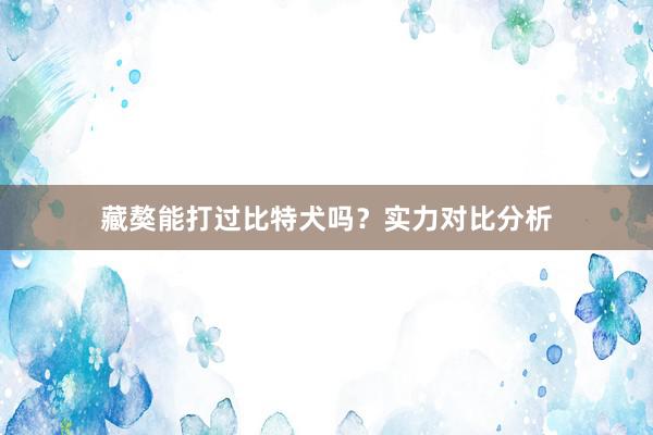 藏獒能打过比特犬吗?实力对比分析