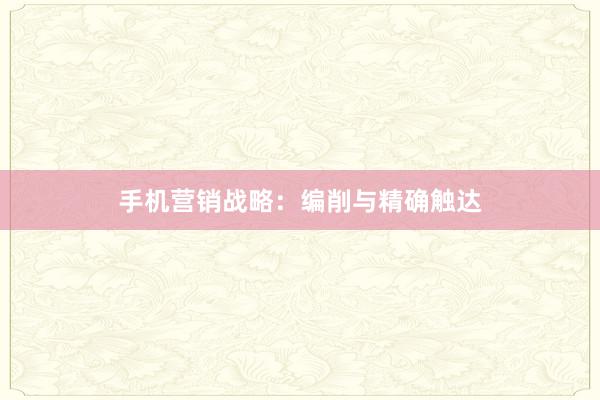 手机营销战略：编削与精确触达